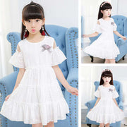 3cafbf1e7c1f2480c11be376a940b37c