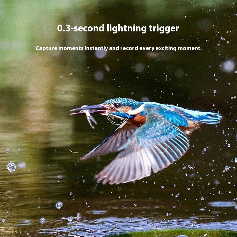 Outdoor Solar-powered High-definition Photo Surveillance Camera